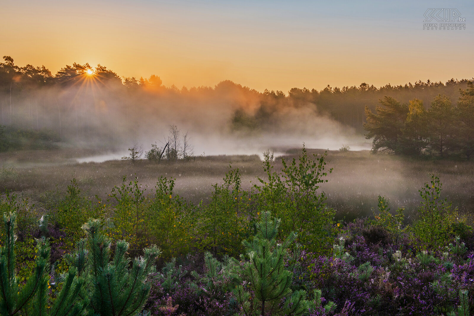 Zonsopgang aan de Pinnekenswijer in Gerhagen Het ven Pinnekenswijer in natuurgebied Gerhagen in Tessenderlo, Limburg Stefan Cruysberghs